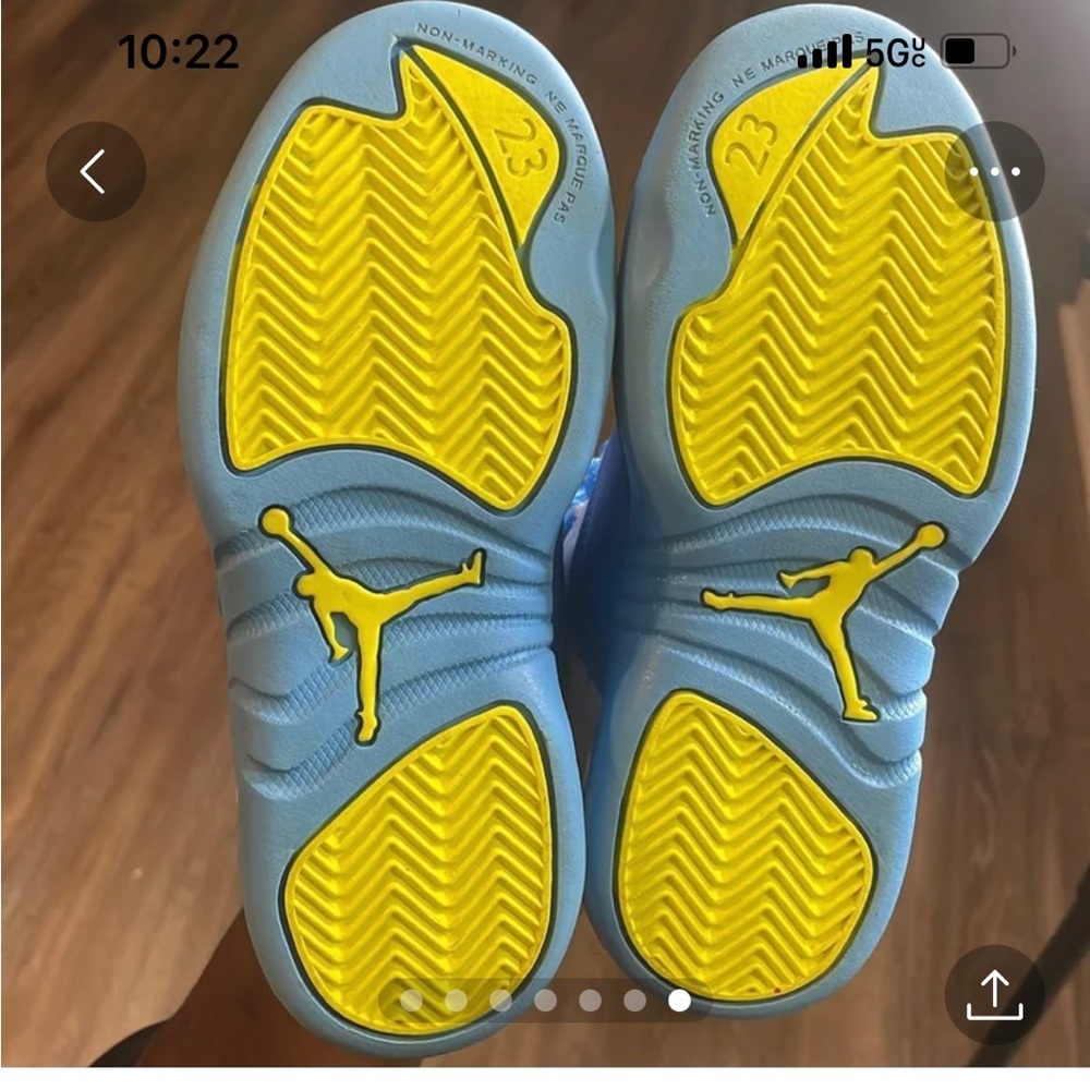 Jordan12 - Picture 1 of 7